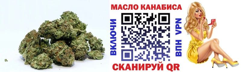 мега онион  Торопец  ТГК концентрат 