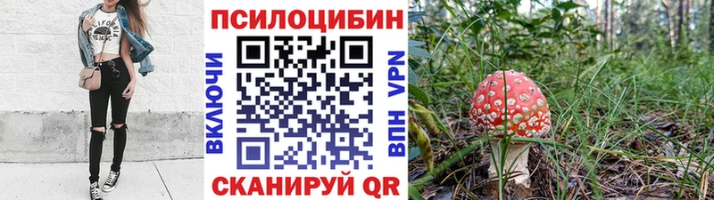 даркнет сайт  ссылка на мегу ссылка  Галлюциногенные грибы Psilocybine cubensis  Торопец 